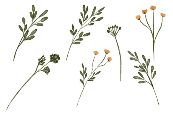 Explore the Beauty of Watercolor Floral Element Set Foliage