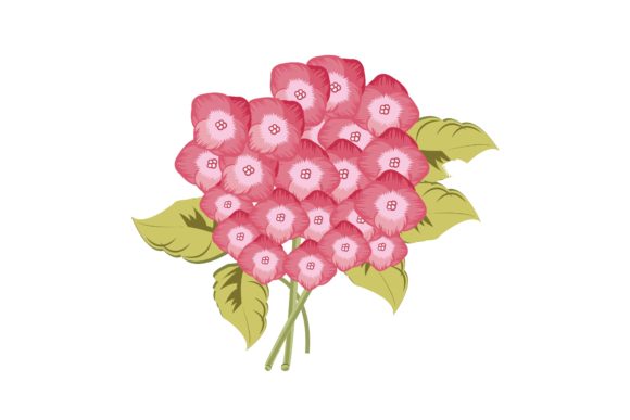 Exploring the Elegance of Pink Hydrangea Floral Illustration