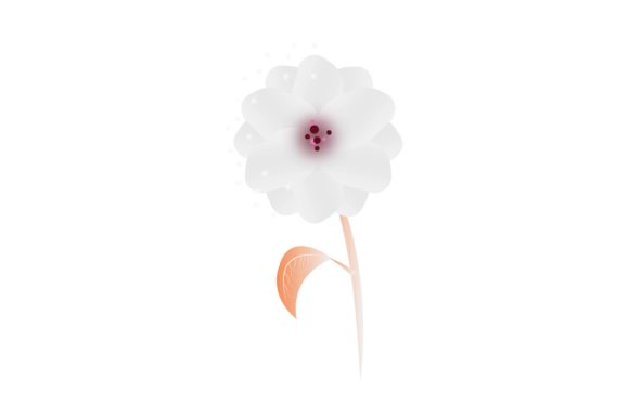 White Daisy Floral Flower Illustration